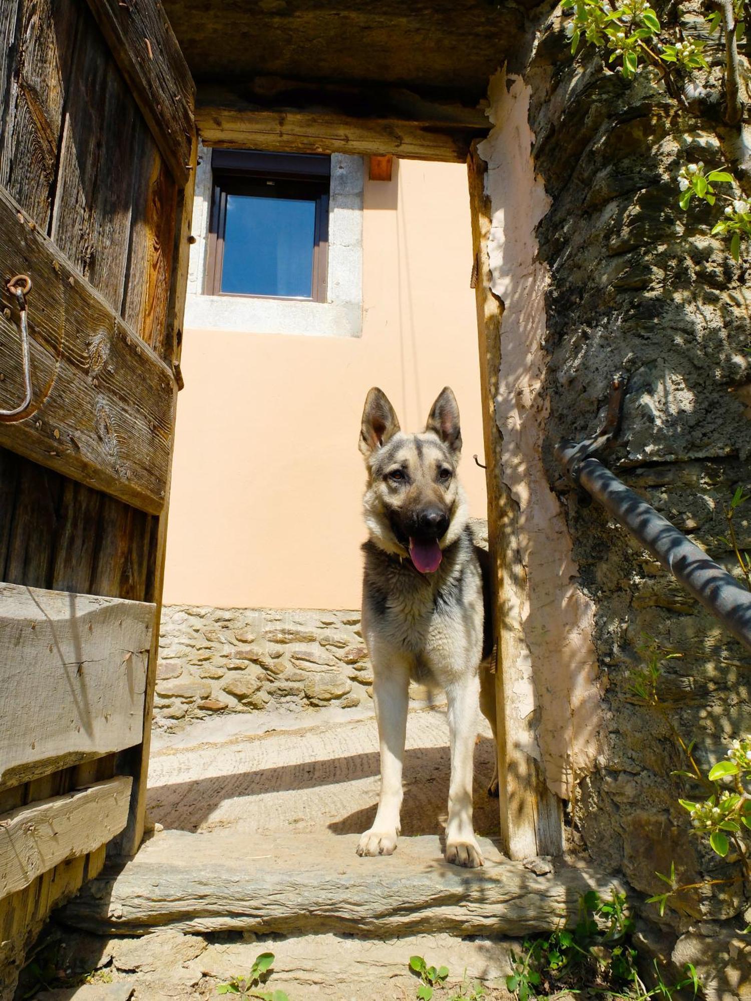 Cal Pascual Konuk evi Les Pereres Dış mekan fotoğraf